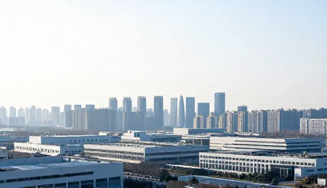 系统稳定性保障中技术外包选型的关键关注点